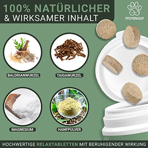 PFOTENGUT® Relax Tabletten 120 Stück [Made in Germany] - Hunde Beruhigungsmittel mit Taigawurzel, Baldrian & Hanfpulver - Natürliches Beruhigungsmittel für Hunde - Verbesserte Version 2023