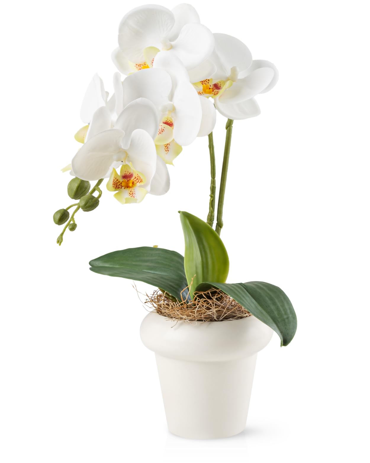 PASCH® Set van 2 kunstorchideeën in keramische potten met hoogglans (40 cm) | kunstbloemen in pot | kunstorchideeën in pot