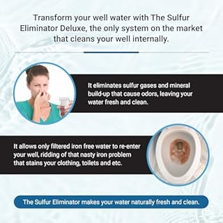The Sulfur Eliminator Deluxe Well Water Filter System, Eliminate Rotten Egg & Sulfur Smell, Remove Iron & Sediments, Works on Any Size Well 4" & Above