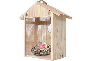 Wooden Window Nest Box with Suction Cups