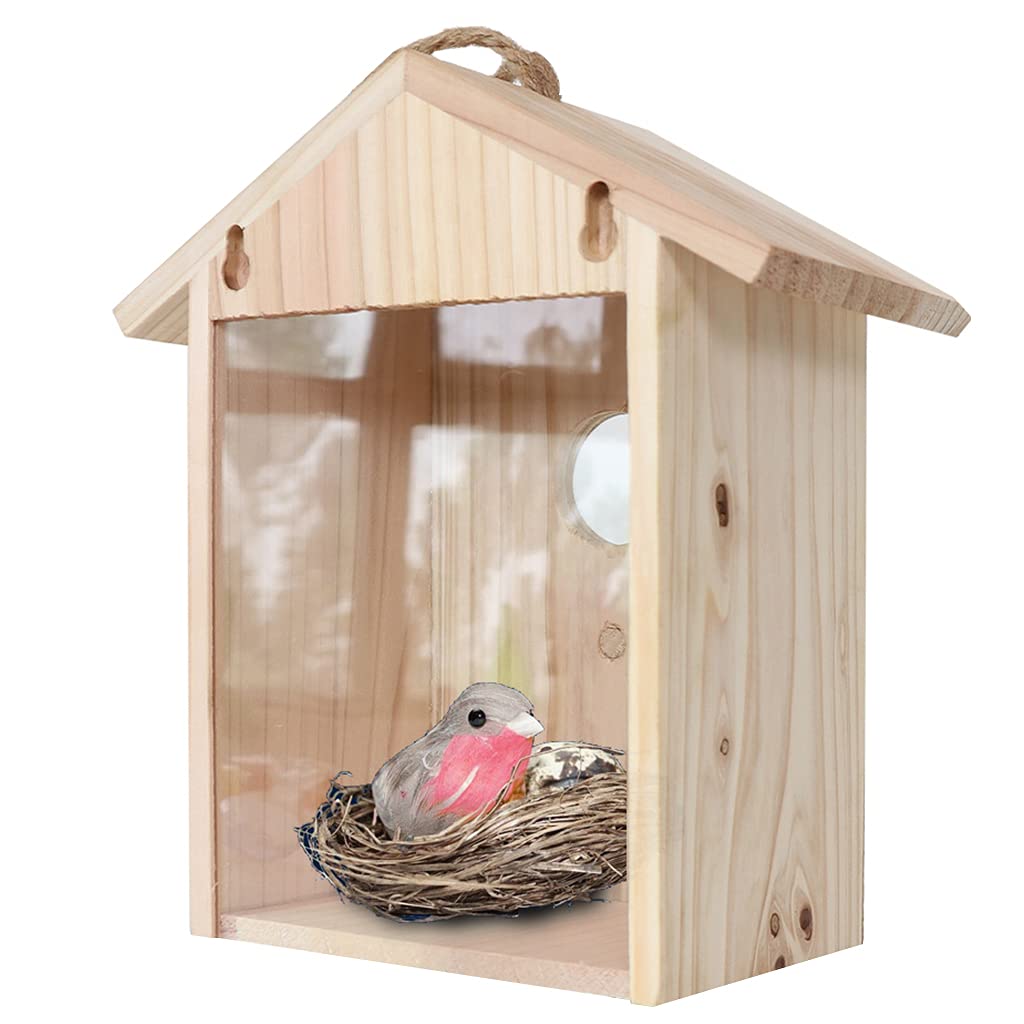 10 Best See Through Bird Houses for Bird Watching Hummingbirds Plus
