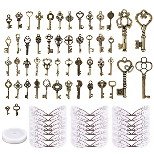 Lot de 50 clés décoratives en laiton couleur bronze avec 50 ailes de libellule et ligne de pêche transparente pour la fabrication de bijoux, colliers, travaux manuels, fêtes, décoration de la maison Cover