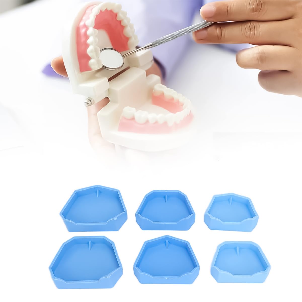 Base de yeso para modelo dental 6 piezas bandeja de moldes impresión dental