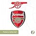 Desert Cactus Arsenal FC Sticker Gunners Decal Vinyl English Football Soccer Laptop Water Bottle Car Scrapbook (4 inch Version A)