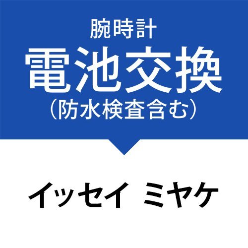 drT[rX(hApbLAxg܂ށjmCbZC ~PnISSEY MIYAKE