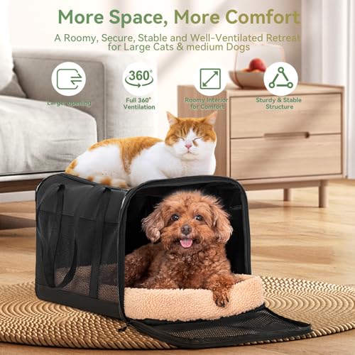 Petsfit Transportbox Katze für Auto, Katzentransportbox mit 2 Patent-Schnallen Transportbox Hund genügend Platz mit weichen Kissen, Tragetasche für Katzen und kleine Hunde, Schwarz
