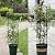 Garden Trellis for Climbing Plants Outdoor, Metal Plant Trellis with PE Coated, Rustproof Plant Support for Flowers Vegetable Vine, Tomato cage for Potted Plants Indoor Outdoor,Lightweight - 2 Pack