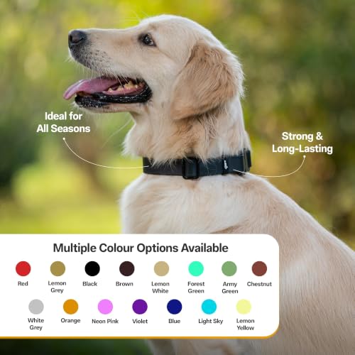 Image of Adil's Biothane Waterproof Dog Collar, Dog Leash & Collar Leash Combo | Heavy Duty TPU Coated Webbing | Adjustable Quick Release Buckle | Odour Resistant (Black, M-18, Collar only)