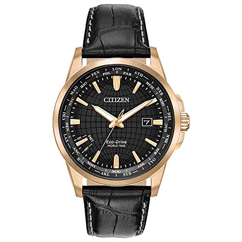 Citizen Eco-Drive World Time Mens Watch, Stainless Steel with Leather strap, Technology, Black (Model: BX1003-08E)