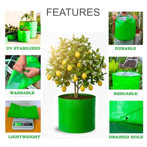 Image of 18x18 Big Size Grow Bags for Terrace Gardening, Premium HDPE Green-Orange Large Planters for Fruit Tree (Pack of 4, 18x18)