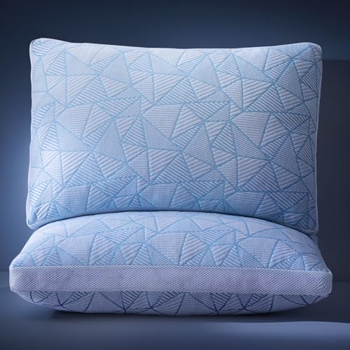 Paxavofa Shredded Memory Foam Cooling Soft Bamboo Viscose Pillows King Set of 2, Adjustable Hypoallergenic Hotel Quality Pillows for Side, Back or Stomach Sleeper, Oeko-TEX Certified