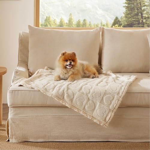 Bedsure Hundedecke für Haustier Hunde Katzen Welpen Weiche Warme Matte, flauschig und weich, Cremeweiß 60x80 cm