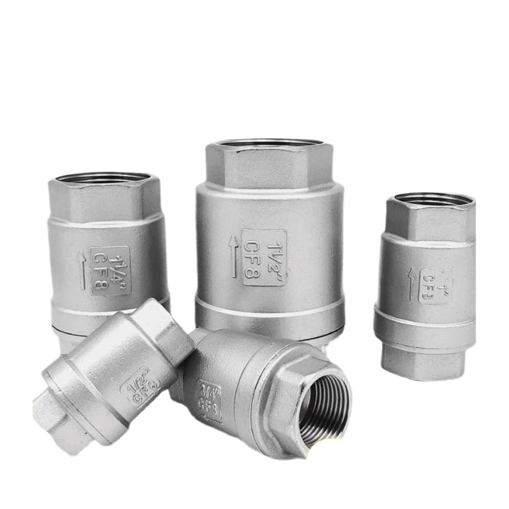 Clapet anti-retour DN50 2 pouces BSP en inox 304 étanchéité souple vertical