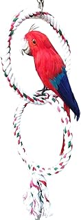 Bird Swing Toys, Bird Swing Cotton Rope Perch, Double Loops Cage Accessories Bird Toys for Parakeets, Cockatiels, Conures, Budgies, Finches, Lovebirds