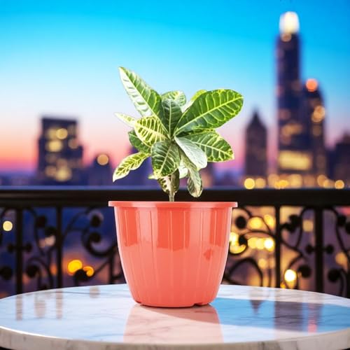Image of Go Hooked Sunshine Flower Pot /Planters for Home Decor, Plastic Pots for Gardening /Home, Flower Pots Indoor-Outdoor & Planter for Plants (Red) (Pack of 2)