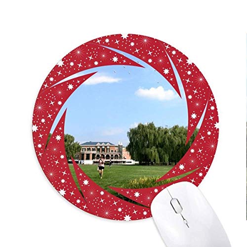 Ή̎ʐ^ ~`S̐Ԃ̃zC[pbh