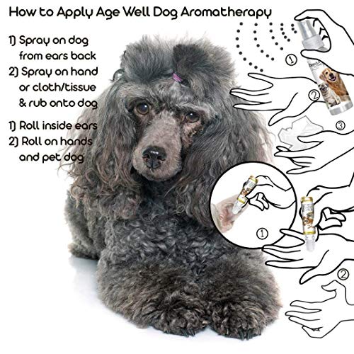 Image of The Blissful Dog Poodle Age Well Dog Aromatherapy Roll-On Bottle for Your Dog's Peaceful Ageing