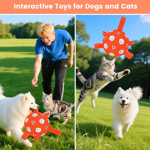 Image of 6 Inch Dog Soccer Ball, Interactive Dog Toys for Small Dogs | Floating Water Toys, Jolly Ball with Straps, Durable Outdoor Training Dogs Tug Toy, Outside Pet Toys, Birthday Gift for Puppy