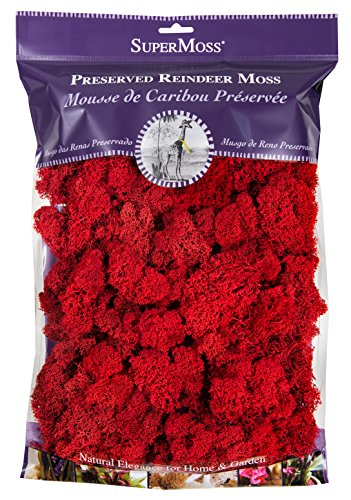SuperMoss (23149) Reindeer Moss Preserved, Red, 8oz
