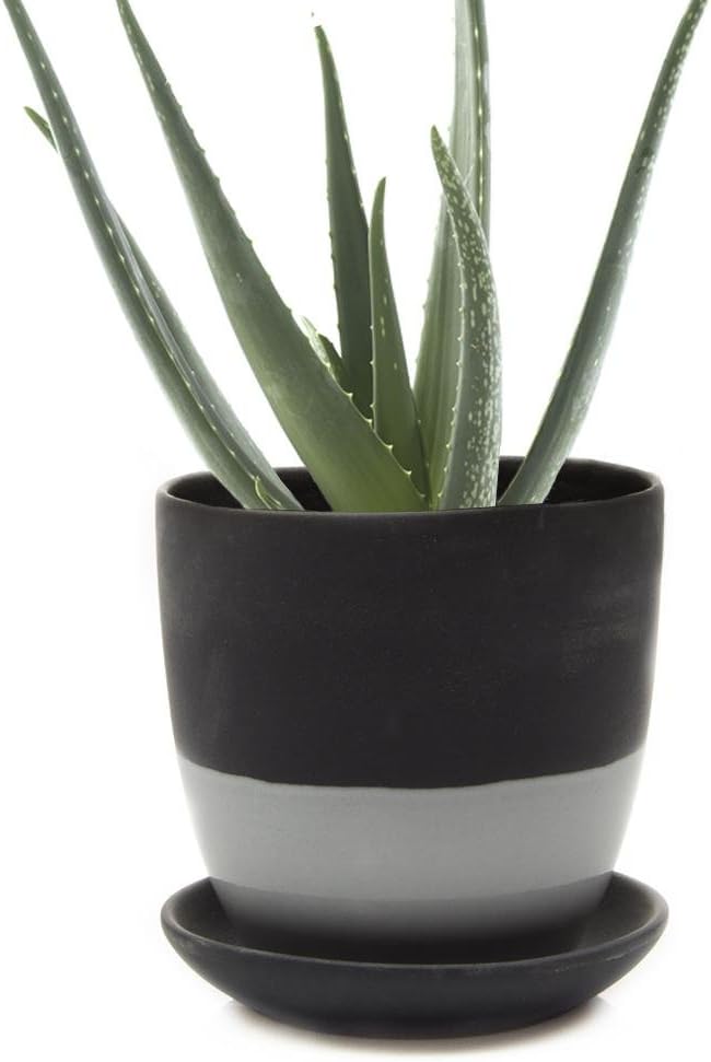 CHIVE - Big Dyad, 5 Inch Succulent Pot and Saucer - Ceramic Plant Pot with Drainage Hole and Detachable Saucer, Tray and Dish (Black)