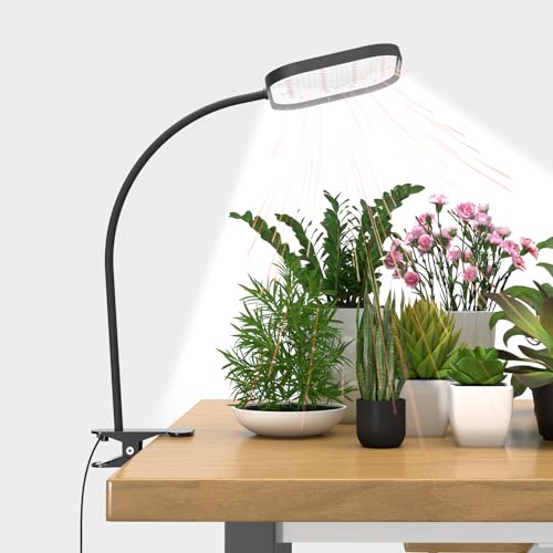 Mojimdo 10V Pflanzlampe mit 336 LED, 6000K Vollspektrum Pflanzenlicht, 360° Schwanenhals, 4H/8H/12H Timer, 5 Helligkeit, Klemmlampe, Grow Light dimmbar Mojimdo 10V Pflanzlampe mit 336 LED, 6000K Vollspektrum Pflanzenlicht, 360° Schwanenhals, 4H/8H/12H Timer, 5 Helligkeit, Klemmlampe, Grow Light dimmbar
