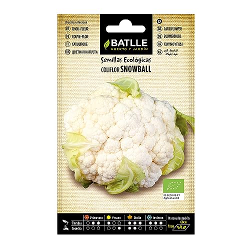 Chou-fleur Snowball - ECO