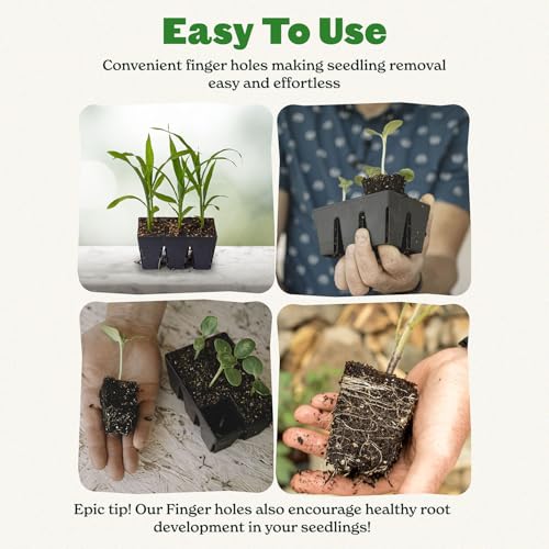 Epic Gardening Reusable Seed Starter Tray - Easy Watering Seed Starting Trays - Gardener Friendly Plant Trays for Seedlings | UV-Treated & BPA-Free -6-Cell Seed Starting Trays - 6 Trays/Black - Image 4