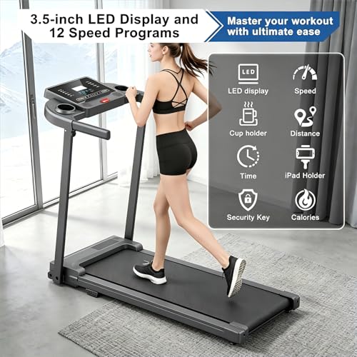 Commercial treadmill gym