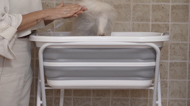 Amazon.co.jp: BEBEROAD PETS 犬 バスタブ ペット用バスタブ