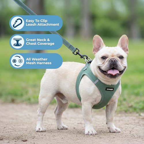 Image of Best Pet Supplies Voyager Step-in Air All Weather Mesh Harness and Reflective Dog 5ft Leash Combo with Neoprene Handle, for Small, Medium and Large Breed Puppies - Set (Moss Green), Large
