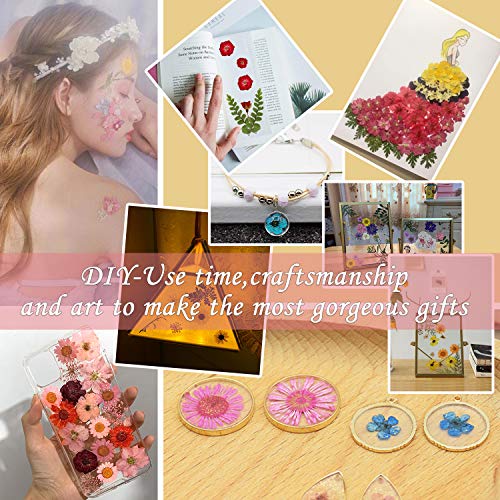 54 Pieces Real Dried Pressed Flowers,Multicolor Pure Dry Flowers Leaves Patels for DIY Resin Jewelry Nail Crafts Making Art Floral Decors