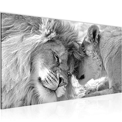 Elegantes Löwenfamilie Bild Schwarz Weiß Bild