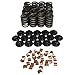 Howards Cams 98511-K31: Performance Single With Damper Valve Spring Kit; 1.485 7 Degree