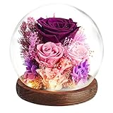 EXXccds Preserved Purple Roses Flowers Gifts for Her - Birthday Gifts for Women, Girlfriend, Wife, Daughter, Mom, Grandma, Wedding Gifts - Office Desk Decor, Living Room Decor, Home Decor (Purple)