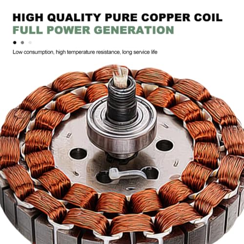 Kit generatore Eolico con regolatore di Carica, apparecchiatura per la Produzione di energia elettrica Verticale, generatore Eolico Senza Ingranaggi ad Alta efficienza da 10000 W - Soluzione