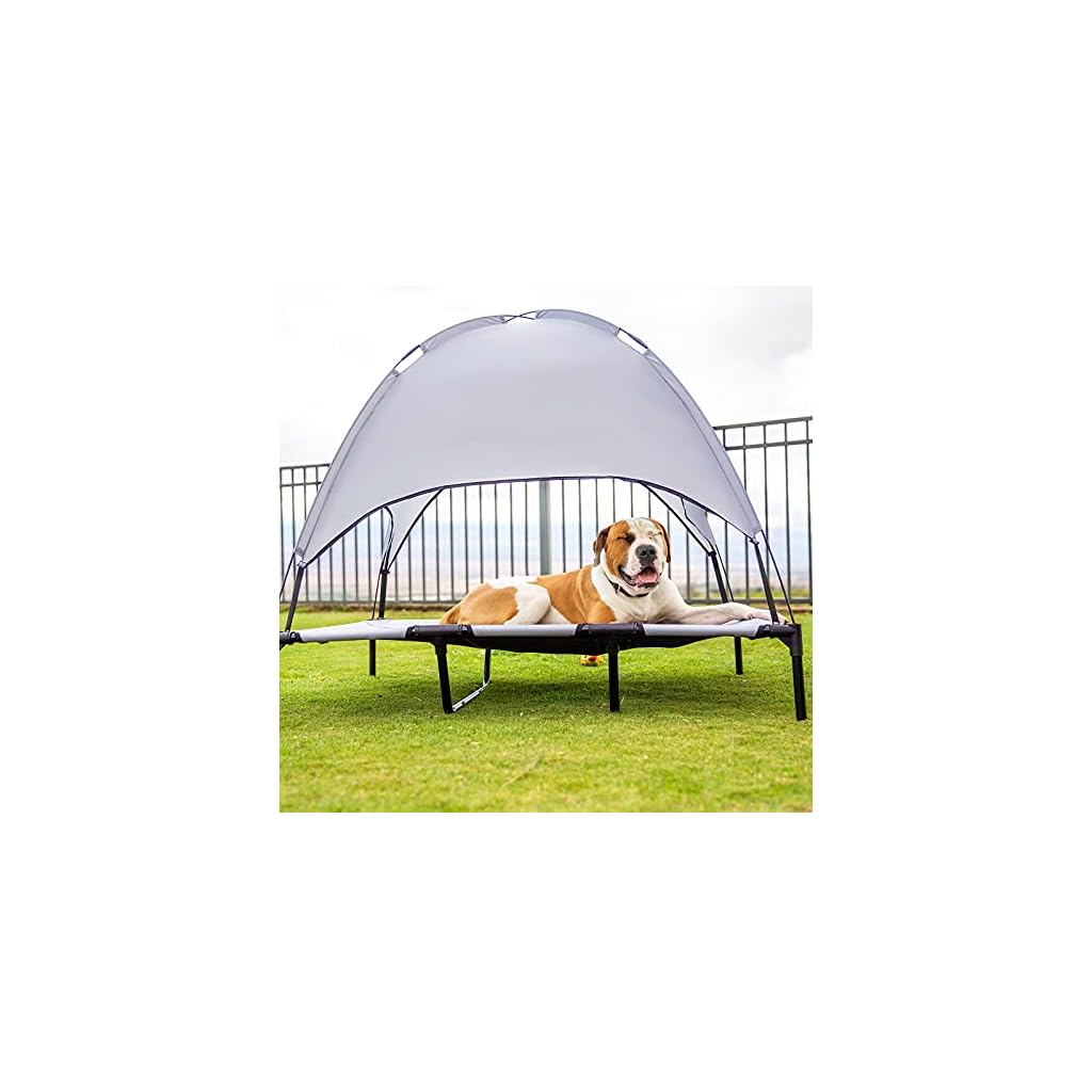 Elevated Dog Cot with Canopy Buy Online