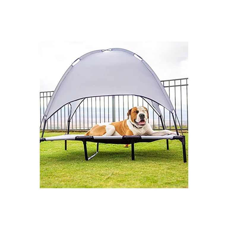 Elevated Dog Cot with Canopy Buy Online