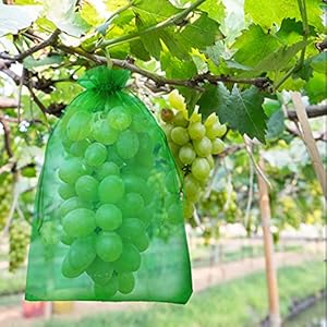Hywean 50 stuks beschermende zakjes met trekkoord, 20 x 30 cm, fruitbeschermingszak, organzazakjes, netzakjes, fruit, beschermingszakjes ter bescherming tegen wespenvraat, vogels, kersenazijn en andere insecten