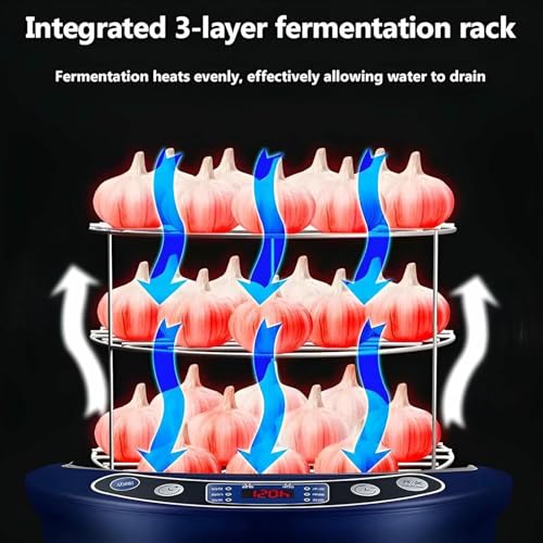 Machine à ail noir 6L avec panneau intelligent et fermentation stéréo - 7