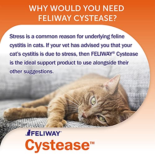 Feliway Cystease, for stress-related bladder problems in cats - 300 Capsules & Classic 30 day Refill x3 Value Pack Classic comforts cats, helps solve behavioural issues and stress - 48ml x3 - Image 2