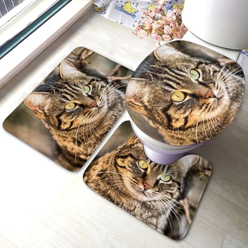 gC}bg Zbg 3_  O L L }bg gCWJo[ U^ O^ gC}bg Zbg ~ z  h ֊ӂJo[ ƒp zep