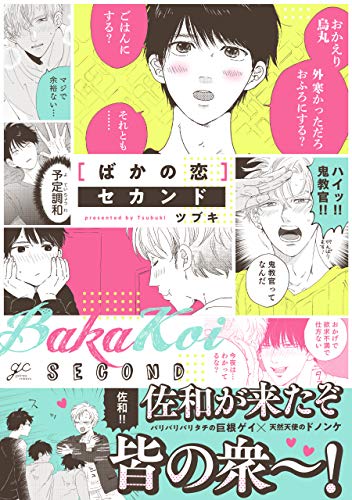 『ばかの恋 セカンド』