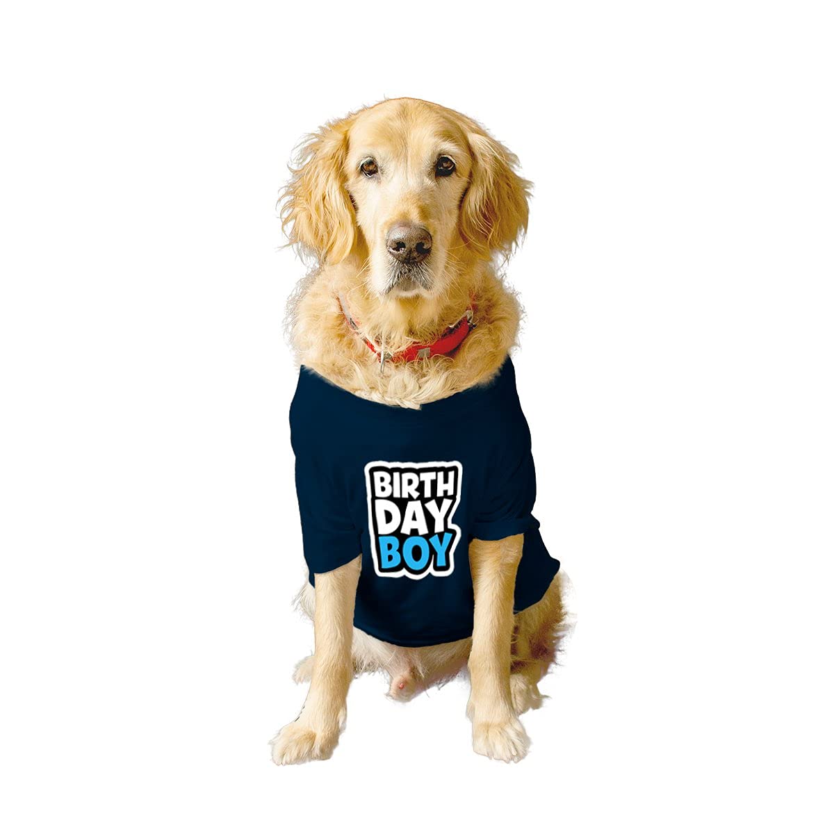 Ruse Basic Crew Neck Birthday Boy-2" Printed Half Sleeves/Apparel/Clothes/T-Shirt Gift for Dogs.Colour-Navy//Large (Full Grown Desi/Stray, Doberman etc.) (B0979DPRBC) Amazon Price History, Amazon Price Tracker