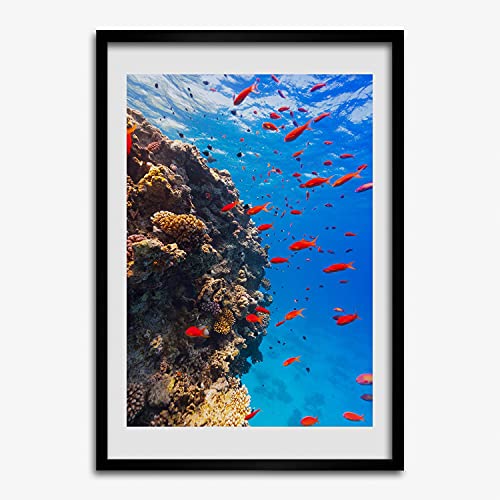 Tableau 50x70 cm Peinture Tulup Récif Corallien pour Mur Vide Lumineux