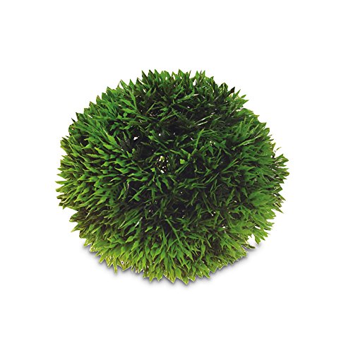 Plant Ball SB Durchmesser 13 cm