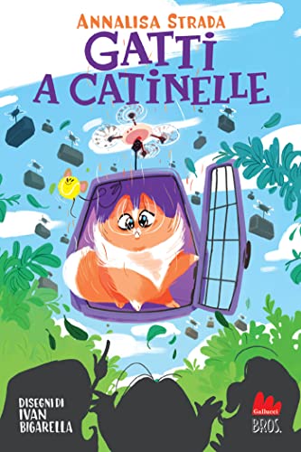 Gatti a catinelle (Italian Edition)