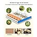 NYTFHMS Egg Incubator, Incubator Digital Household Egg Hatcher with Temperature & Humidity Control Automatic Egg Turning for All Poultry Eggs,