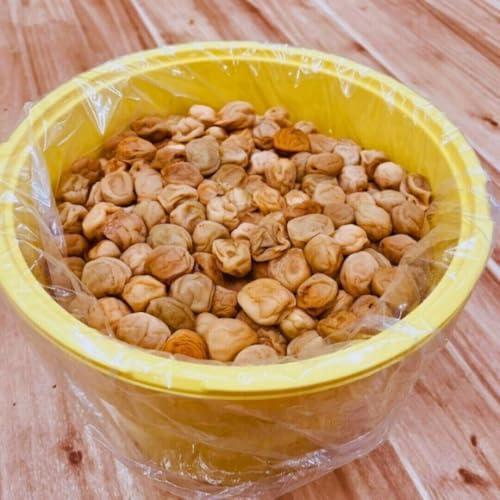 Y VR  ̂Ȃ IB썂~ Y a̎R IB ~ (10s)