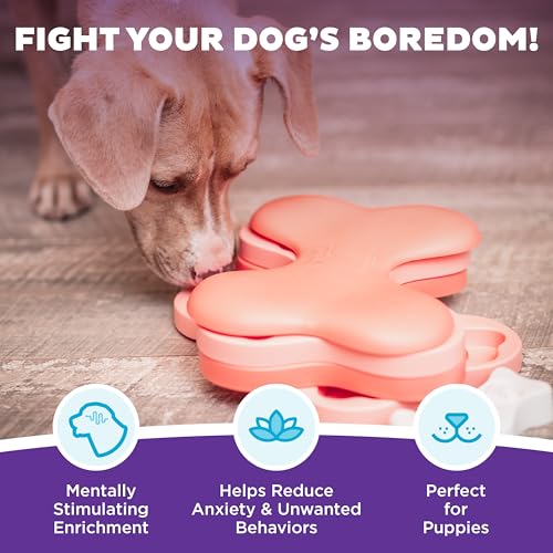 Outward Hound Nina Ottosson Puzzle Tornado - Interaktives Leckerli-Denkspielzeug für Hunde