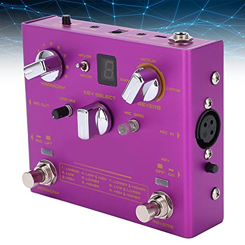 Effectpedaal, DC 9V 500mA vocaal effect voor het spelen van muziekinstrumenten - Image 3